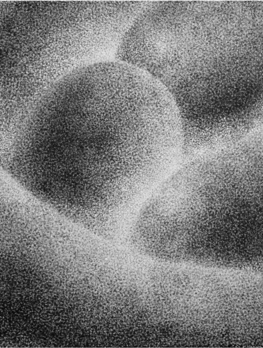 "See You Later 3" 2024 Charcoal & oil on canvas 16" x 20"