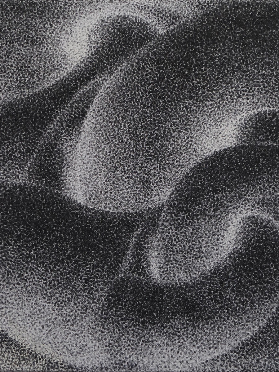 "In The Loop" 2024 Graphite & oil on canvas 16" x 20"