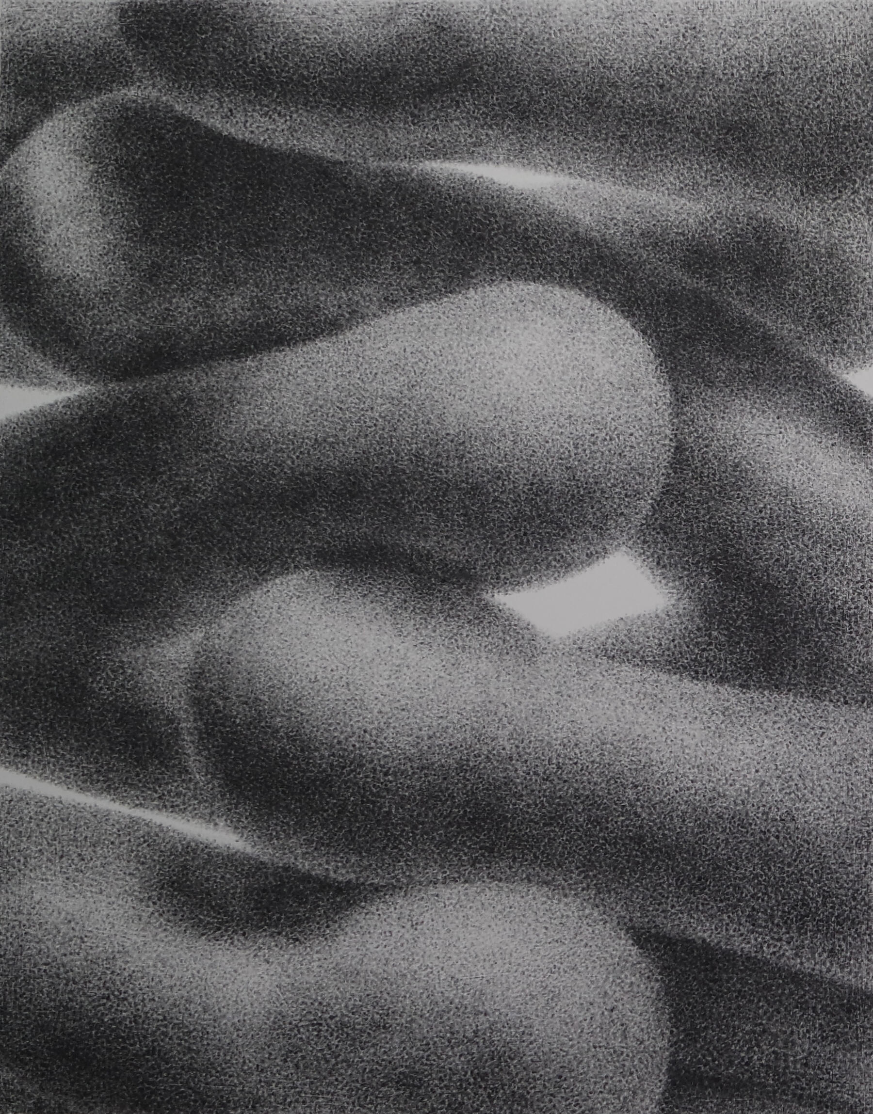 **Passage 1** (Diptych)\n2023\nGraphite & oil on canvas\n24" x 30"